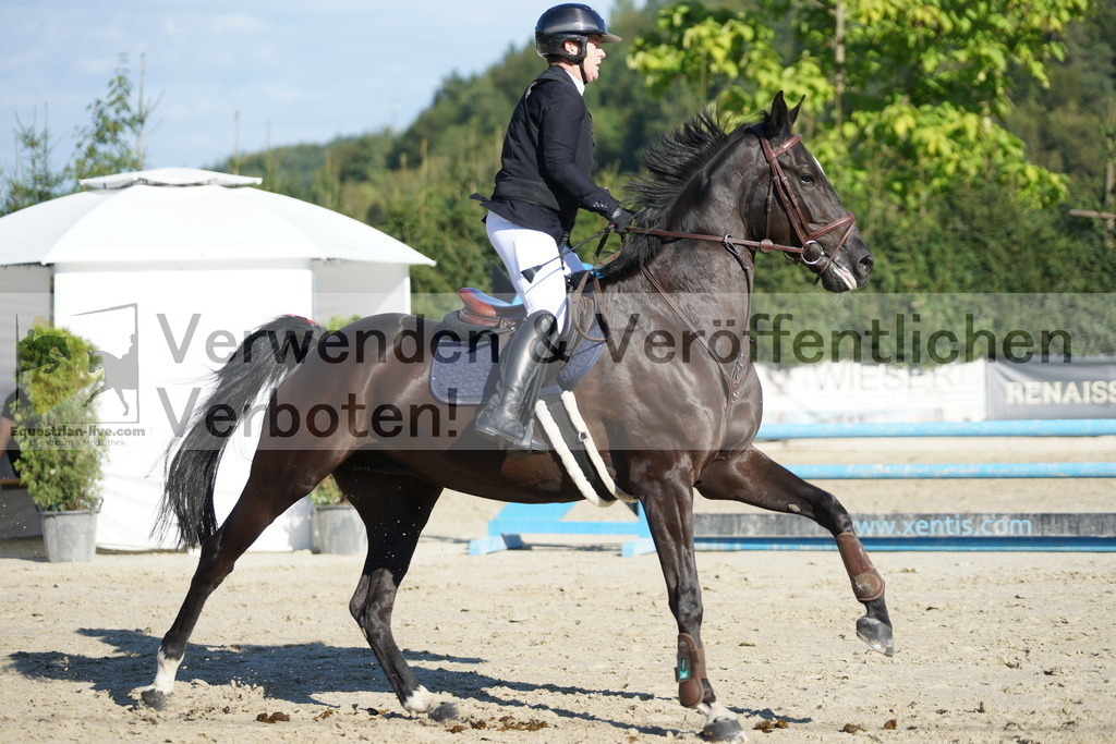DSC09575 | equestrian-live-com