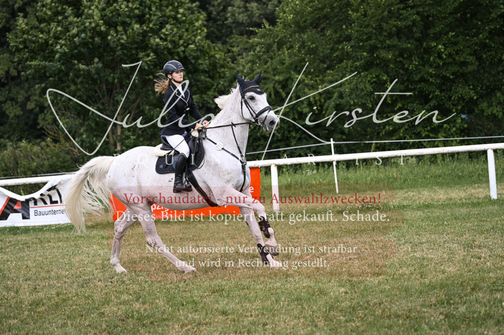 DSC_0971 | Pferde- und Turnierfotografie in Westsachsen. Pferdeportraits, Auftragszeichnungen und intuitive Kunst.
