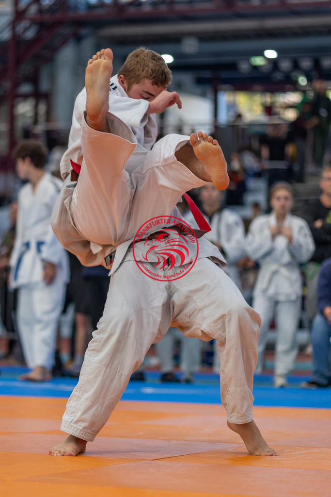 Internationaler Adler Cup 2024 | Foto vom Internationalen Adler Cup Judo Turnier im Sport- und Freizeitzentrum Kalbach im Oktober 2024 - Realisiert mit Pictrs.com
