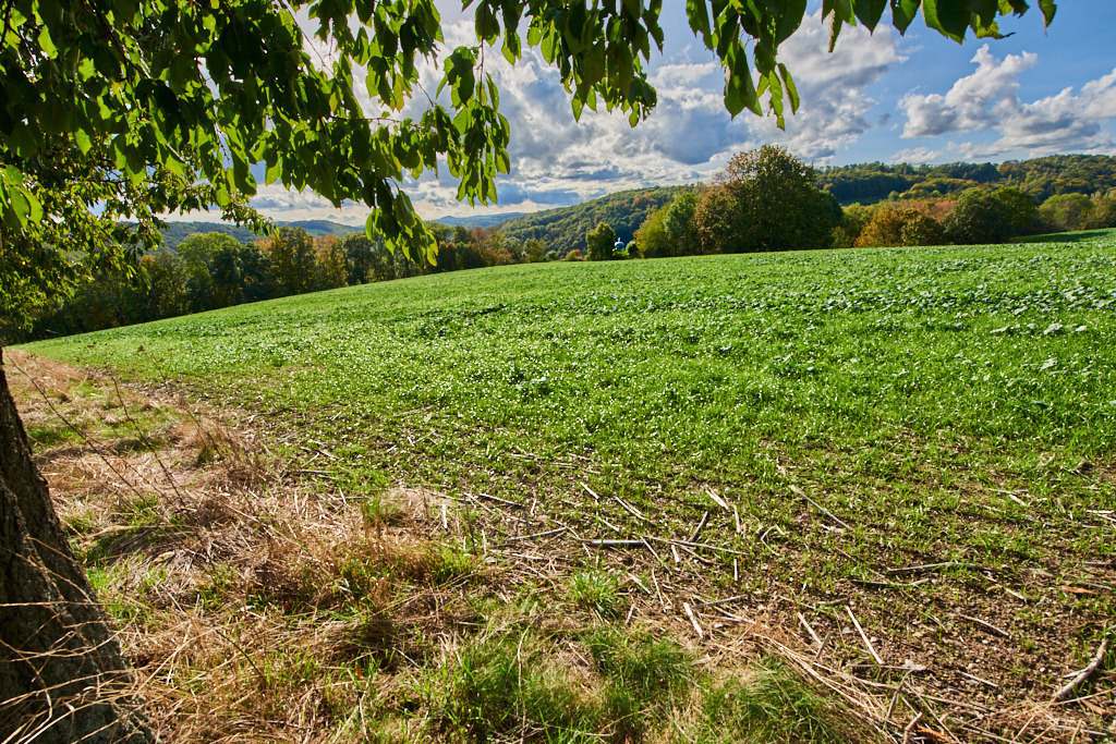 Blick zum Blauen Häusel 02 | Bedeutsame Landschaften Deutschlands - Realisiert mit Pictrs.com