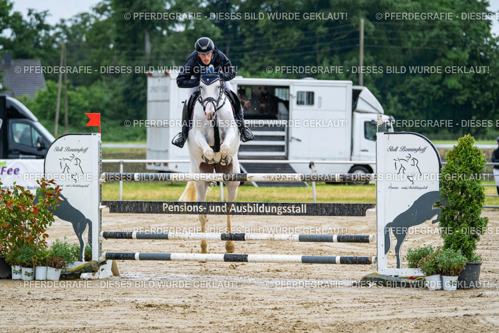 DSC03451 | Pferdegrafie