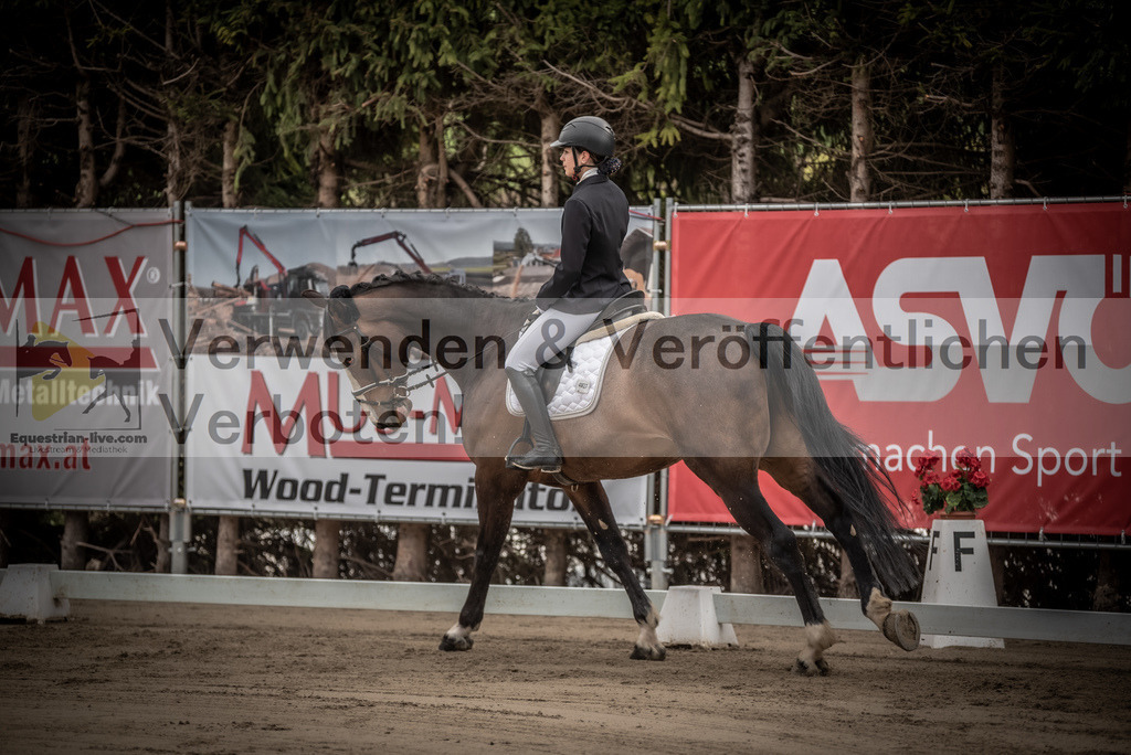 DSC_8332 | equestrian-live-com