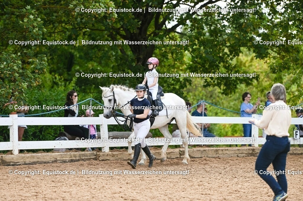 20230716_11_Führzügel-WB_0148 | equistock