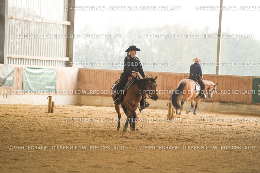 DSC09484 | Pferdegrafie