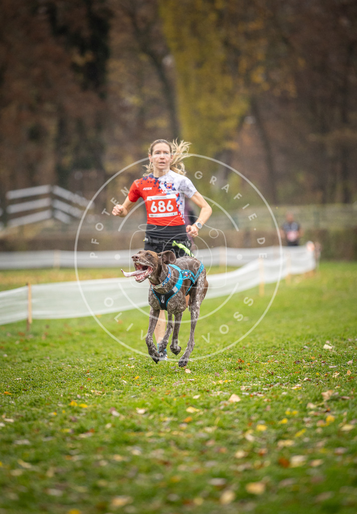 CaniXpix_DV3A8898 | Hundefotografie, Tierfotograf, Pfotenfotografie, Fotoshooting Hund, Hunde Portrait, Hundesport, Hundeportraits, Heideshooting, Hunde, Sportfotograf, Hundefotograf, Turnierhundsport, THS,  - Realisiert mit Pictrs.com