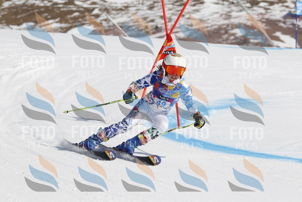 _U3G9392 | holidayphoto