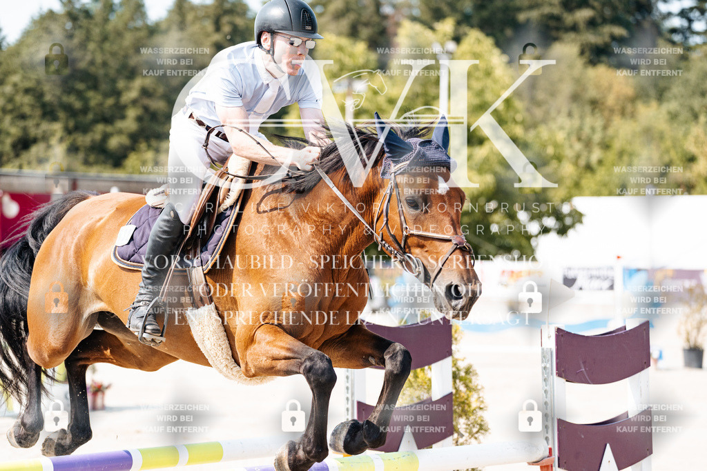 CK902024 | Turnierfotografie Pferdefotografie Trier Rheinland-Pfalz Pferdesport Reitsport Tierfotografie Sportfotografie Pferdevideo Pferdevideografie Equestrianvideography equestrianphotography  - Realisiert mit Pictrs.com