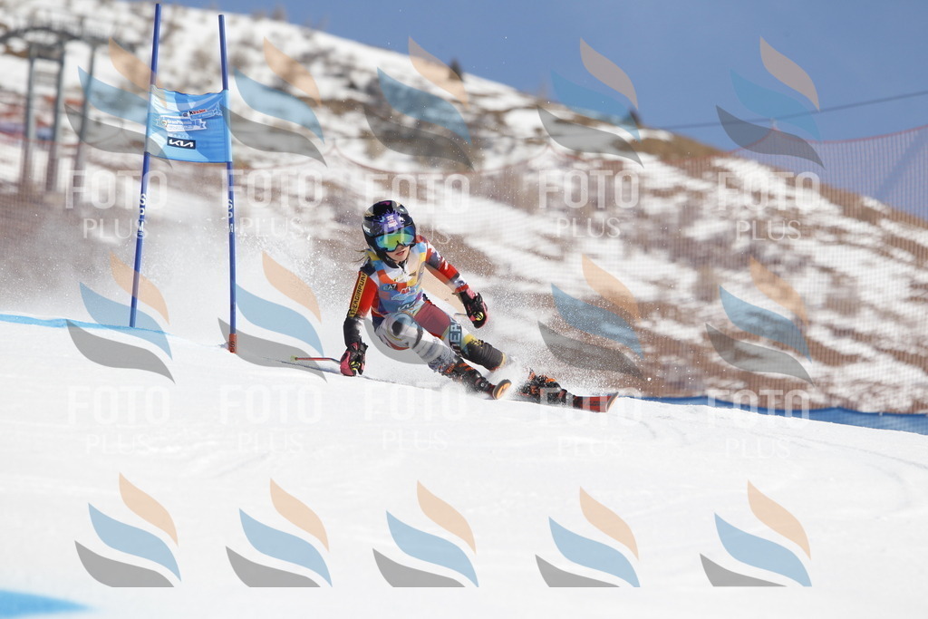 _U3G8518 | holidayphoto