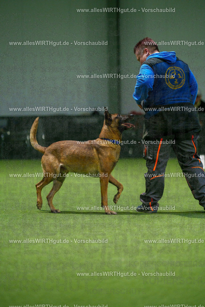 7R507465 | Professionelle Tierfotografie in Mönchengladbach von Daniel Wirth (allesWIRTHgut). Liebevolle & natürliche Bilder von Hunden & Katzen für unvergessliche Erinnerungen.