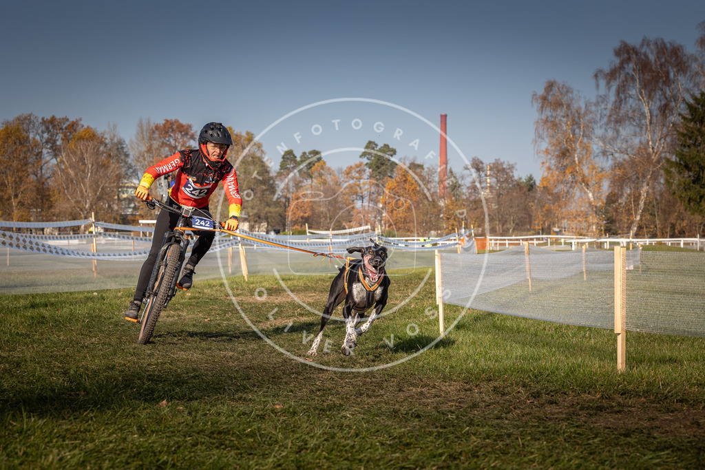 CaniXpix_0L8A6950 | Hundefotografie, Tierfotograf, Pfotenfotografie, Fotoshooting Hund, Hunde Portrait, Hundesport, Hundeportraits, Heideshooting, Hunde, Sportfotograf, Hundefotograf, Turnierhundsport, THS,  - Realisiert mit Pictrs.com