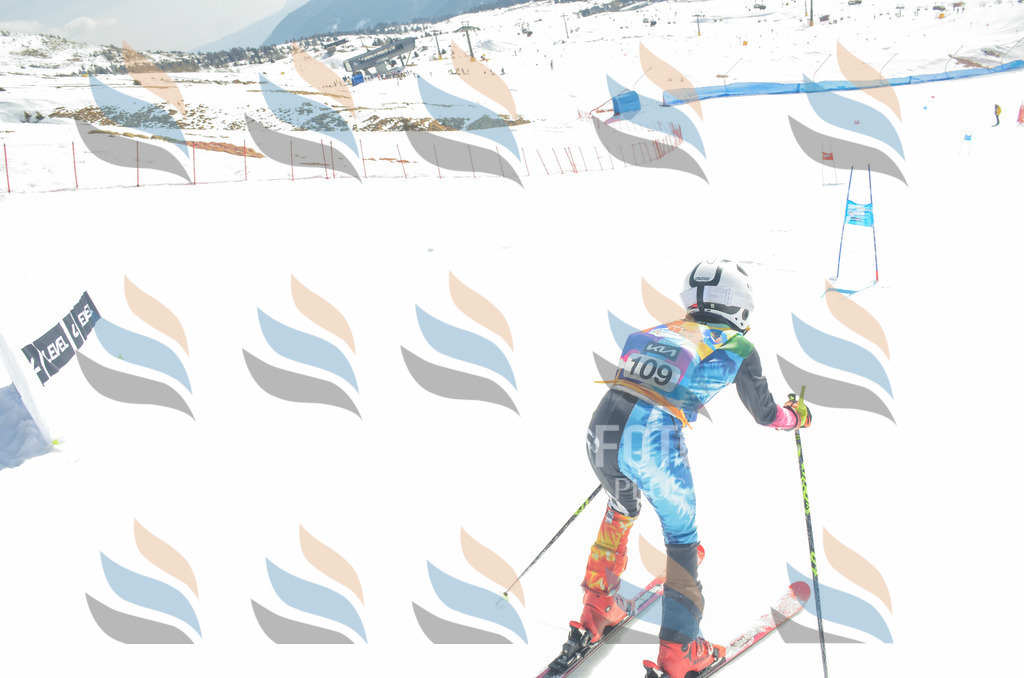 _ELE5883 | holidayphoto