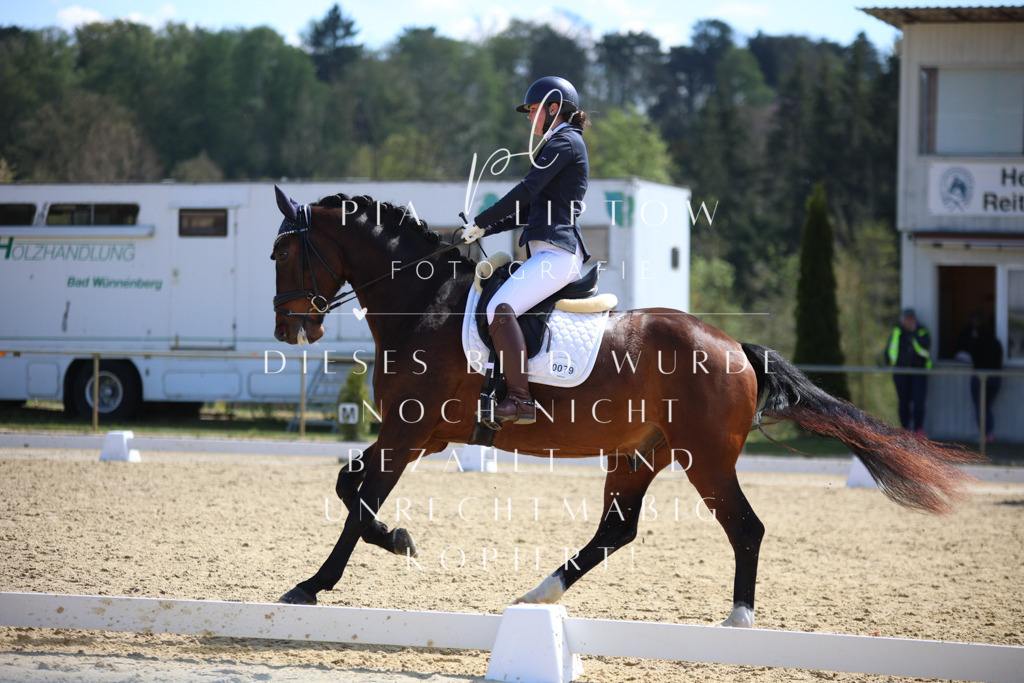 IMGT1914 | pl-fotografie