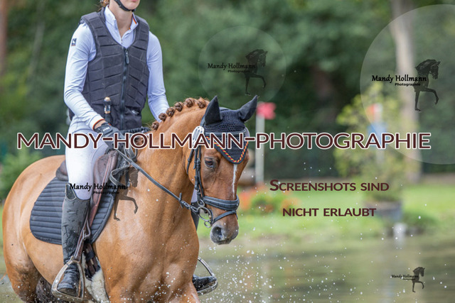 VS G (304 von 503) | mandyhollmannphotographie