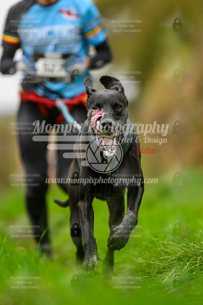 MompixPhotography_20TSB_E8_Run-95 | PayLife