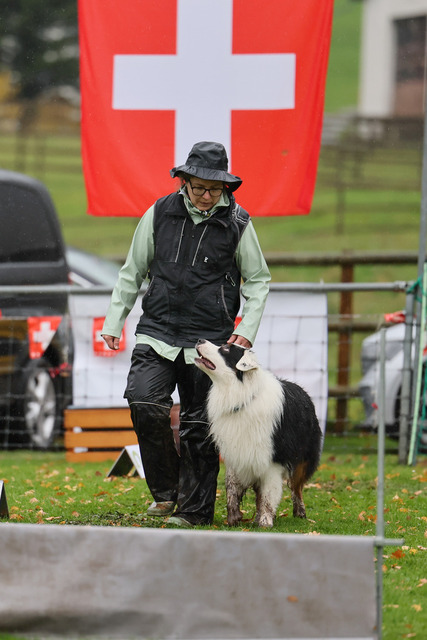 2025_Rally_Obedience_SM-255 | Ich fotografiere Hundeausstellungen, Sportanlässe, Zuchtstätten, Hundezucht, Hundeportrait, Lagotto - Realisiert mit Pictrs.com
