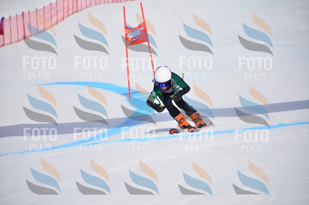 VR4_7230 | holidayphoto