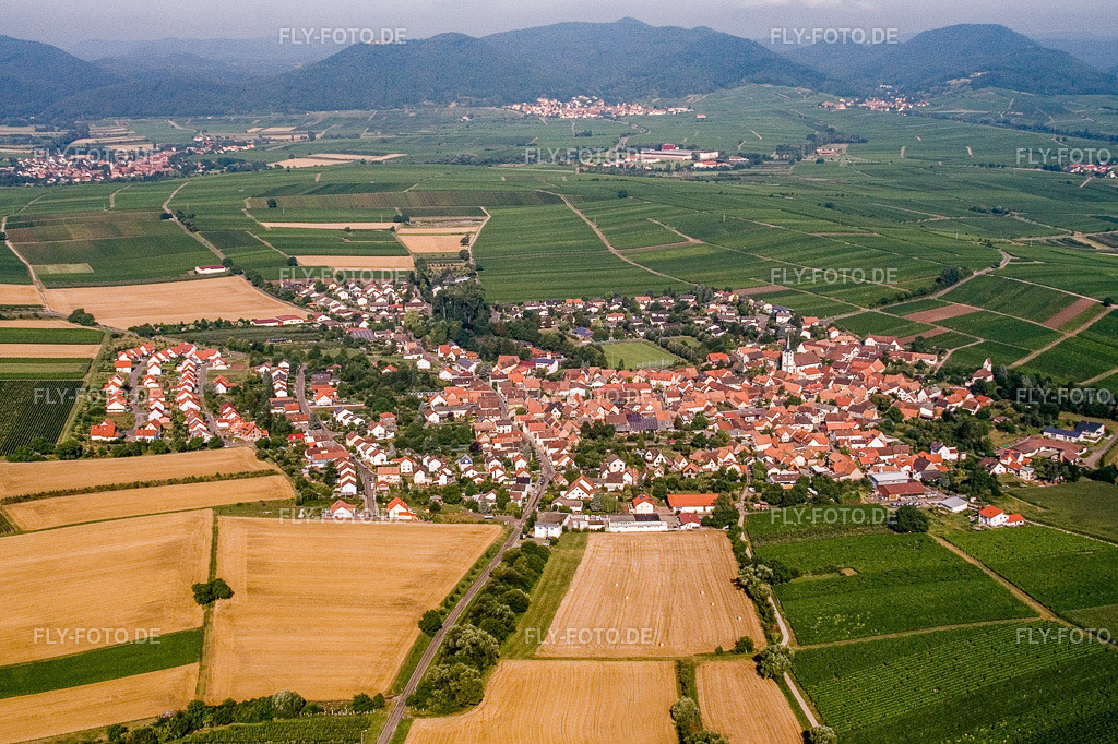 Ort von Osten | Luftbild: Ort von Osten im Ortsteil Mörzheim in Landau im Bundesland Rheinland-Pfalz in Deutschland. Foto: IMG_12001.jpg vom 31.07.2008 durch Werner Riehm/FLY-FOTO.de - Realisiert mit Pictrs.com