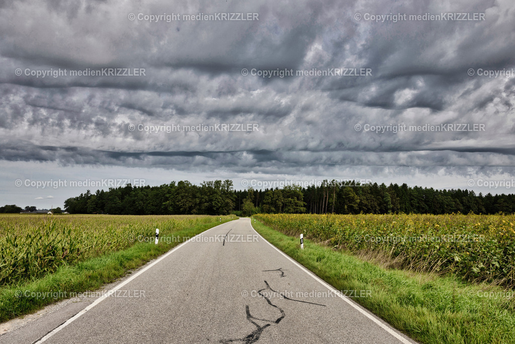 _J3A2304 | medienkrizzler - Realisiert mit Pictrs.com