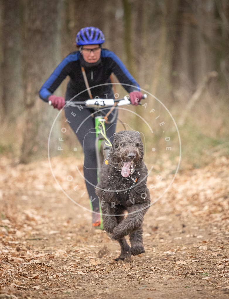 Pfotenfotografie_DV3A6855 | Hundefotografie, Tierfotograf, Pfotenfotografie, Fotoshooting Hund, Hunde Portrait, Hundesport, Hundeportraits, Heideshooting, Hunde, Sportfotograf, Hundefotograf, Turnierhundsport, THS,  - Realisiert mit Pictrs.com