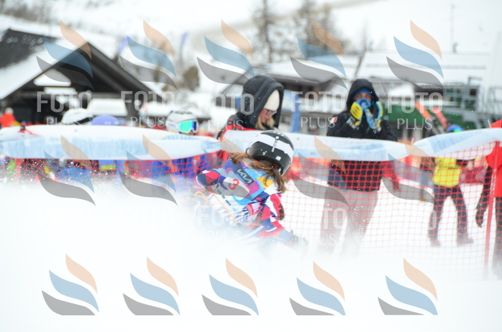 DSC_0658 | holidayphoto