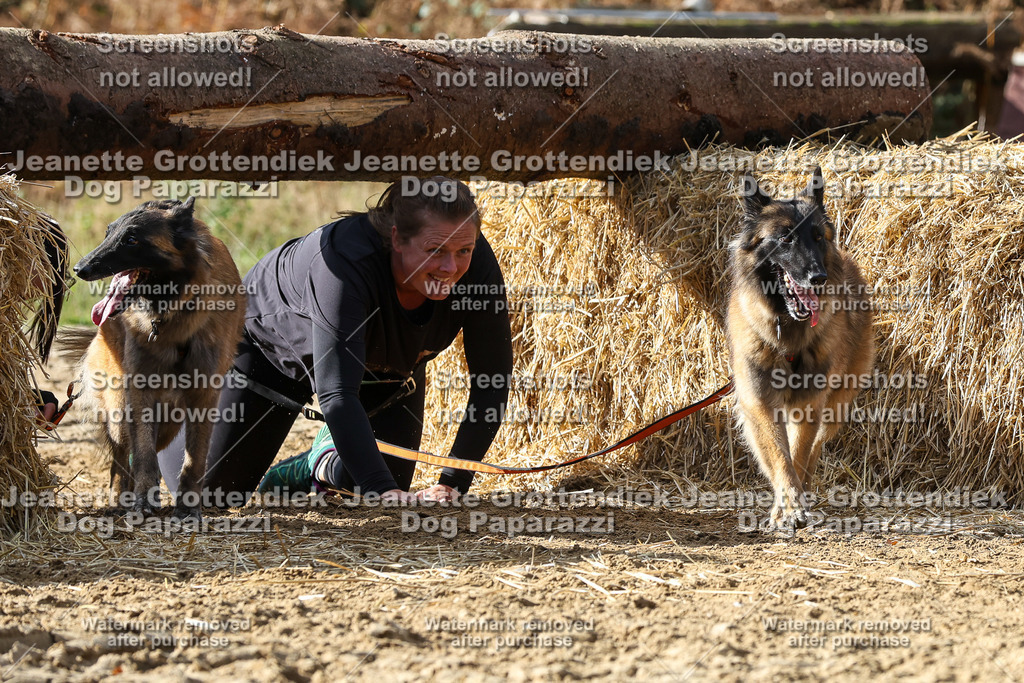 Dog Paparazzi - Strongdog 10-25-5346 | Dog Paparazzi Jeanette Grottendiek Fotografie & Videografie - Realisiert mit Pictrs.com