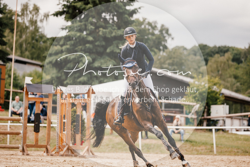 3I6A2394 | Stimmungsvolle Portraits und Reitsportfotografie im Ruhrgebiet und im Münsterland.

Pferdefotografie, Hundefotografie, Tierfotografie, Reportagen, Portraits von Tier und Mensch, Turnierfotografie in Bochum, Recklinghausen, Marl, Haltern am See, Dülmen.. - Realisiert mit Pictrs.com