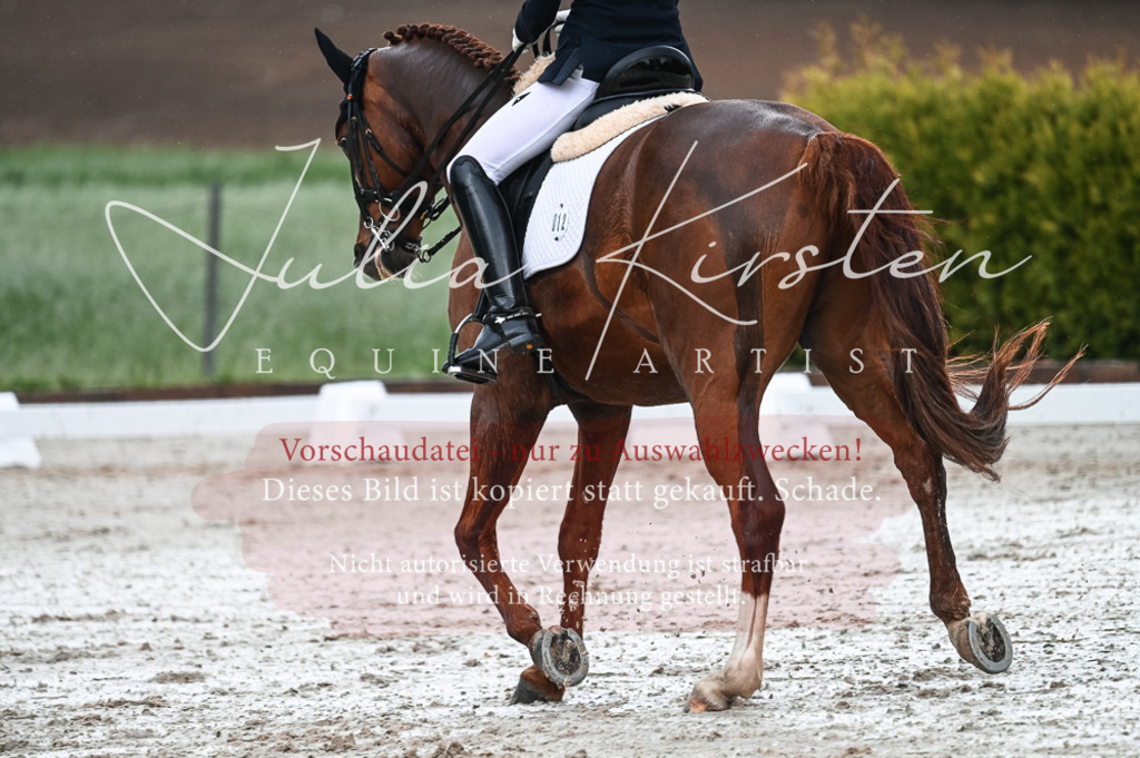 DSC_4231 | Pferde- und Turnierfotografie in Westsachsen. Pferdeportraits, Auftragszeichnungen und intuitive Kunst.
