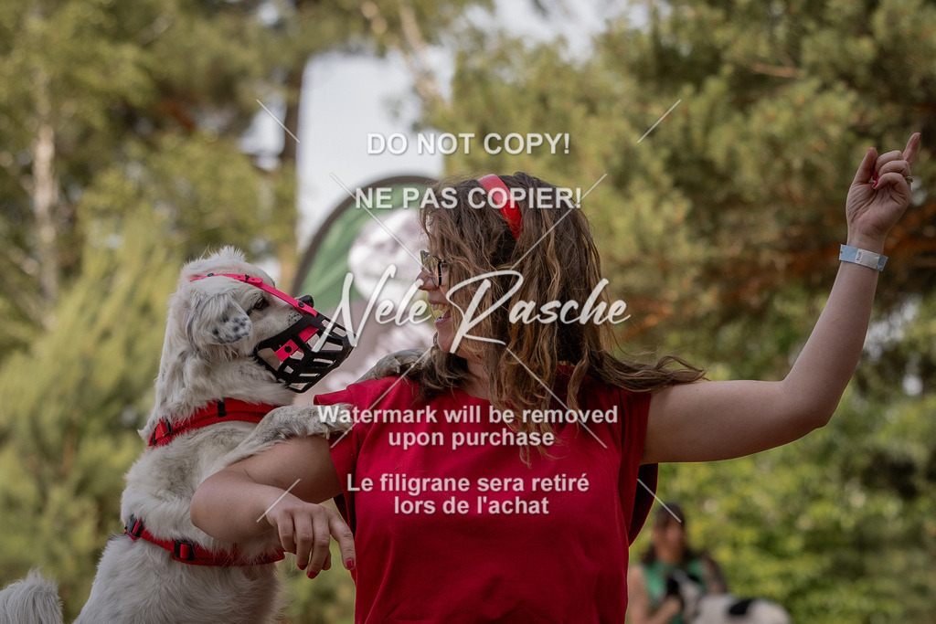 nelerasche_soDD2_409 | nelerasche