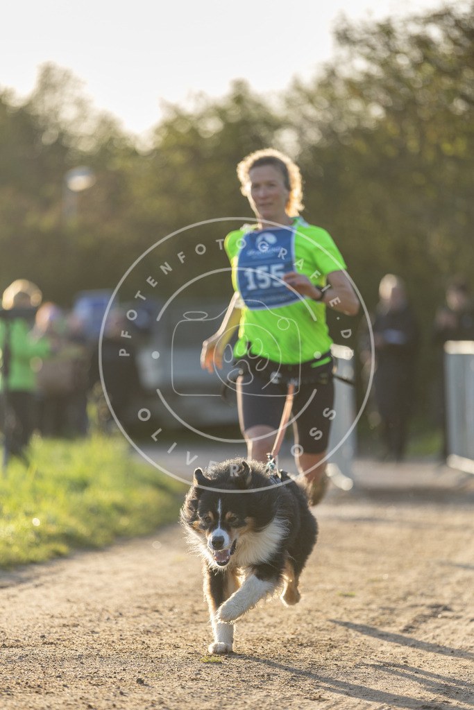 Pfotenfotografie.de_DV3A2634 | Hundefotografie, Tierfotograf, Pfotenfotografie, Fotoshooting Hund, Hunde Portrait, Hundesport, Hundeportraits, Heideshooting, Hunde, Sportfotograf, Hundefotograf, Turnierhundsport, THS, canicross - Realisiert mit Pictrs.com