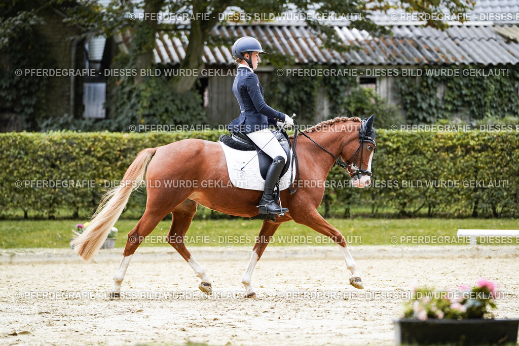 DSC07988 | Pferdegrafie