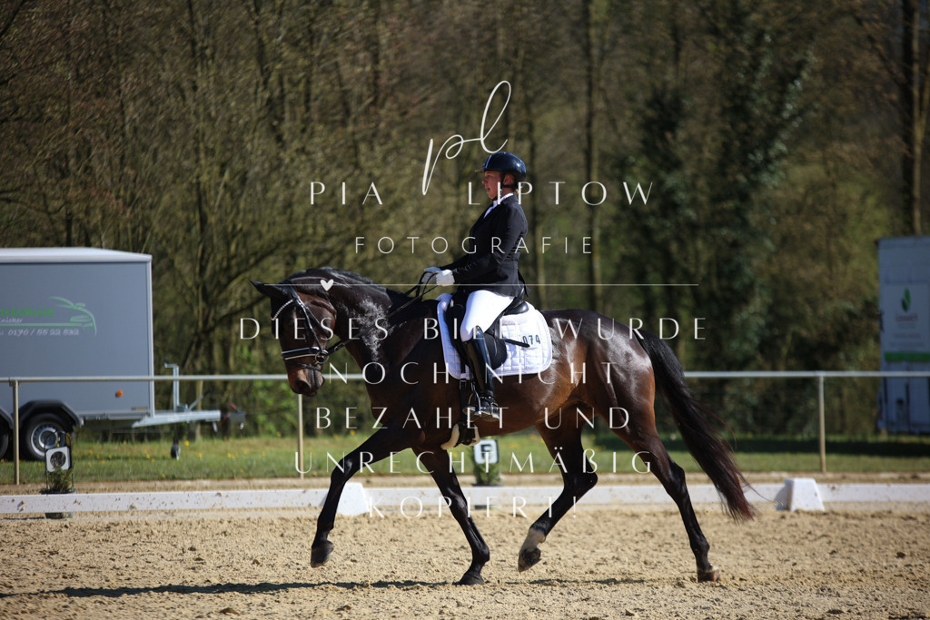 IMGT9037 | pl-fotografie