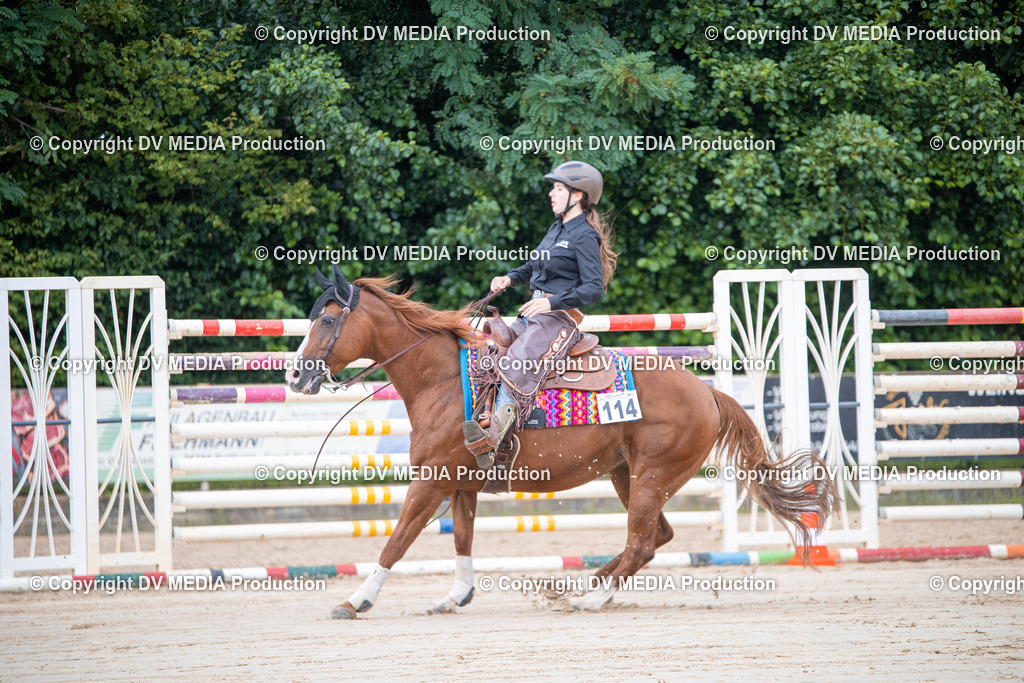 ZS3_5532 | dv-media-shop - Realisiert mit Pictrs.com