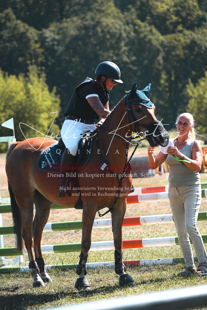 DSC_8427 | Pferde- und Turnierfotografie in Westsachsen. Pferdeportraits, Auftragszeichnungen und intuitive Kunst.