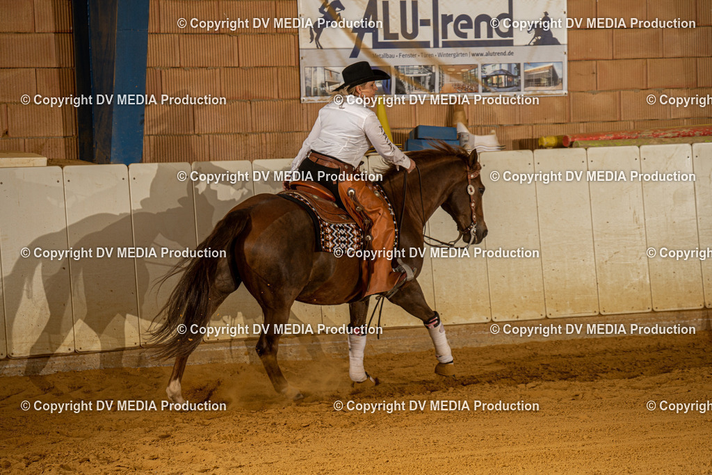 MIT00588 | dv-media-shop - Realisiert mit Pictrs.com