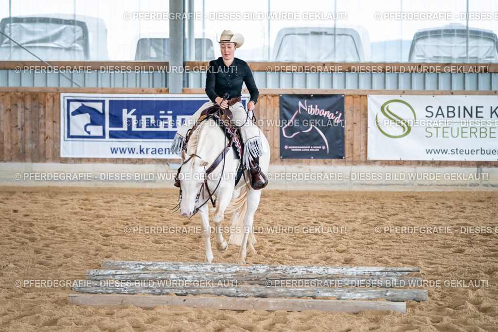 DSC02878 | Pferdegrafie