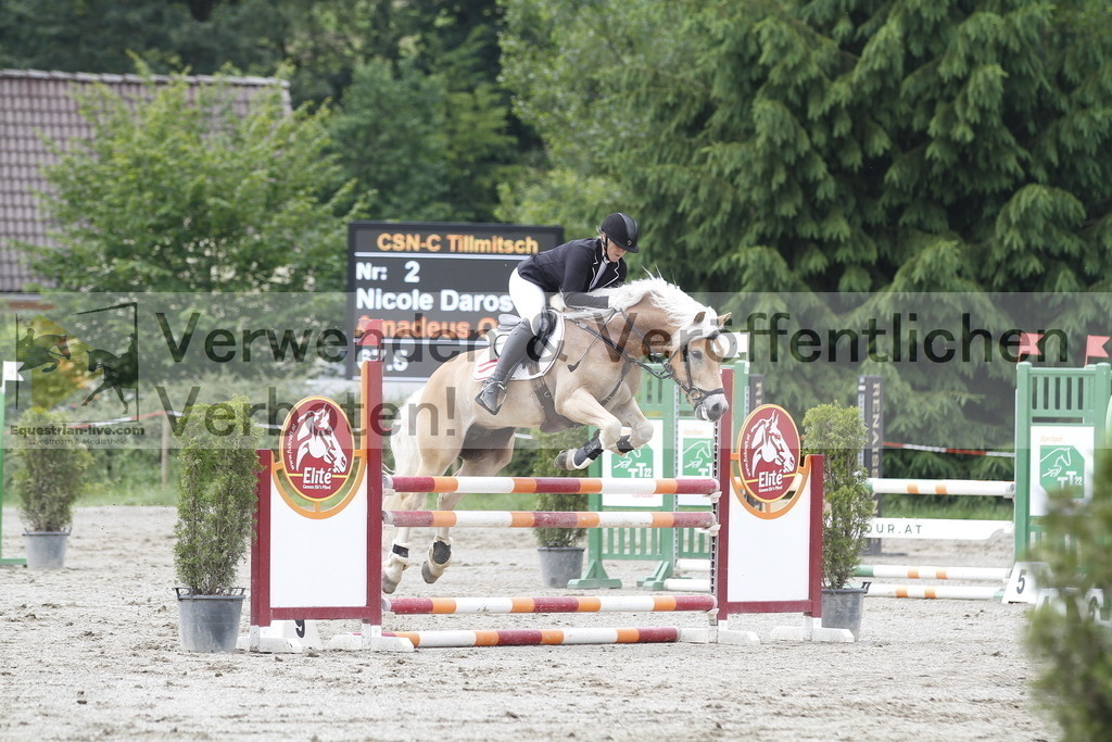 _MG_6006 | equestrian-live-com