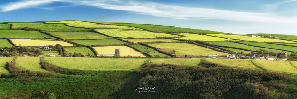 Wiesenlandschaft | Andre Wandrei - Nature Artworx - Realisiert mit Pictrs.com