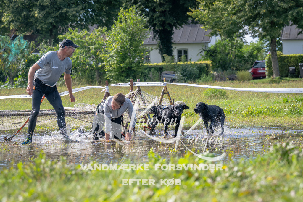 1149_ZZ91892 | kk-dogfotos