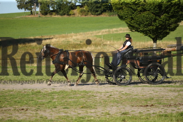 Leistungsprüfung_Sankt Märgen_2022_KN_06_Lissy (23) | Alle Fotos der Reiterjournal Fotografin Doris Matthaes im Reiterjournal Online-Fotoshop. - Realisiert mit Pictrs.com