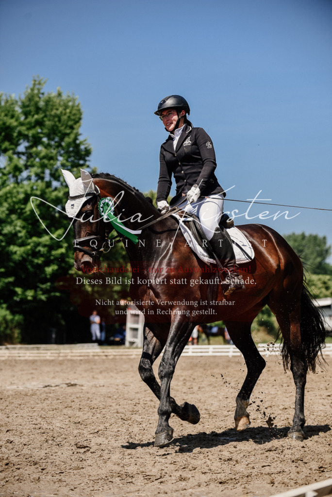 DSC_2081 | Pferde- und Turnierfotografie in Westsachsen. Pferdeportraits, Auftragszeichnungen und intuitive Kunst.