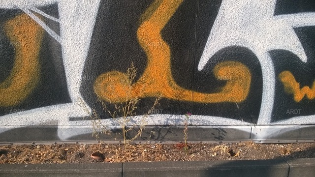 SN054 | ARDT Foto Kunst