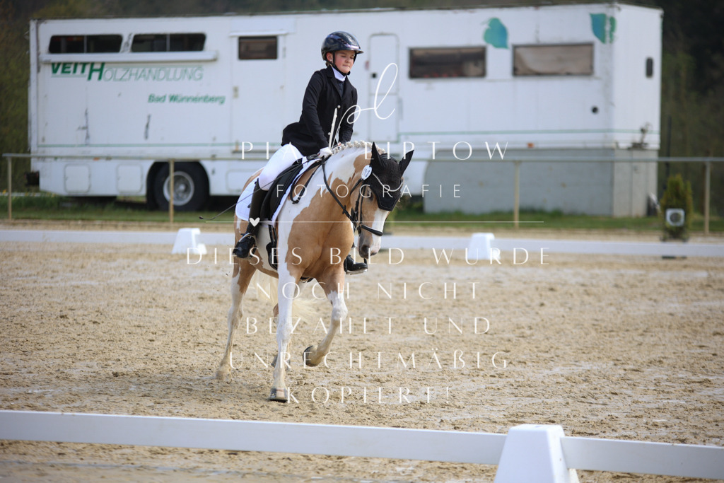 IMGT4286 | pl-fotografie