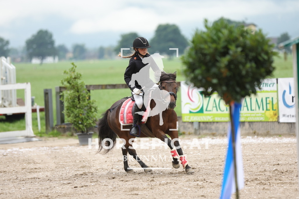 0P6A9814 | Willkommen bei Brunnmayr - Design & Fotografie – Ihrem Spezialisten für Reitturniere und Pferdeveranstaltungen in Oberösterreich, Salzburg und Bayern! Seit über 17 Jahren sind wir leidenschaftlich dabei.