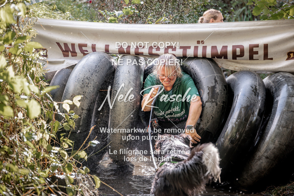 nelerasche_Hunsrück2026_Sa1400-1500_433 | nelerasche