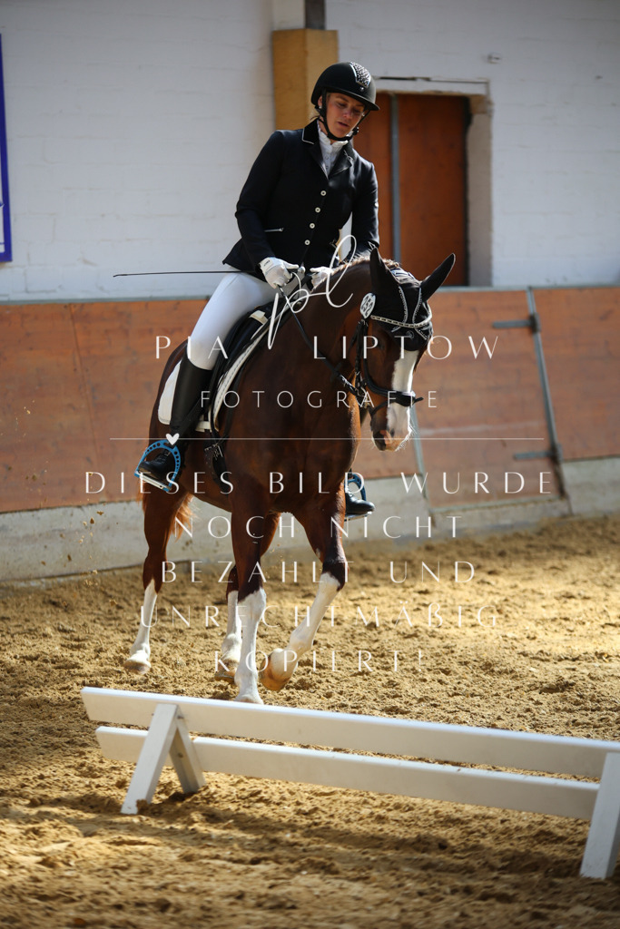 IMGT6631 | pl-fotografie