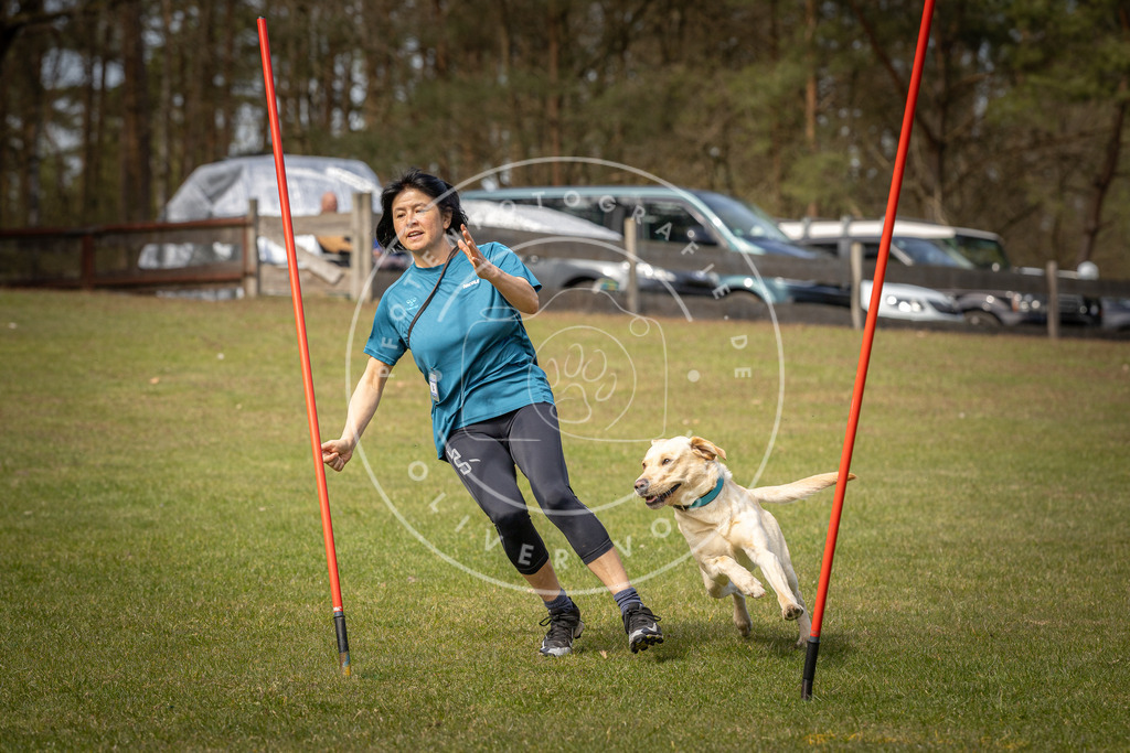 Pfotenfotografie_DV3A7287 | Hundefotografie, Tierfotograf, Pfotenfotografie, Fotoshooting Hund, Hunde Portrait, Hundesport, Hundeportraits, Heideshooting, Hunde, Sportfotograf, Hundefotograf, Turnierhundsport, THS,  - Realisiert mit Pictrs.com