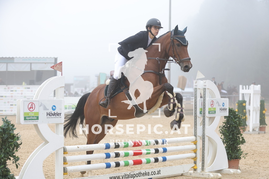 0P6A0325 | Willkommen bei Brunnmayr - Design & Fotografie – Ihrem Spezialisten für Reitturniere und Pferdeveranstaltungen in Oberösterreich, Salzburg und Bayern! Seit über 17 Jahren sind wir leidenschaftlich dabei.