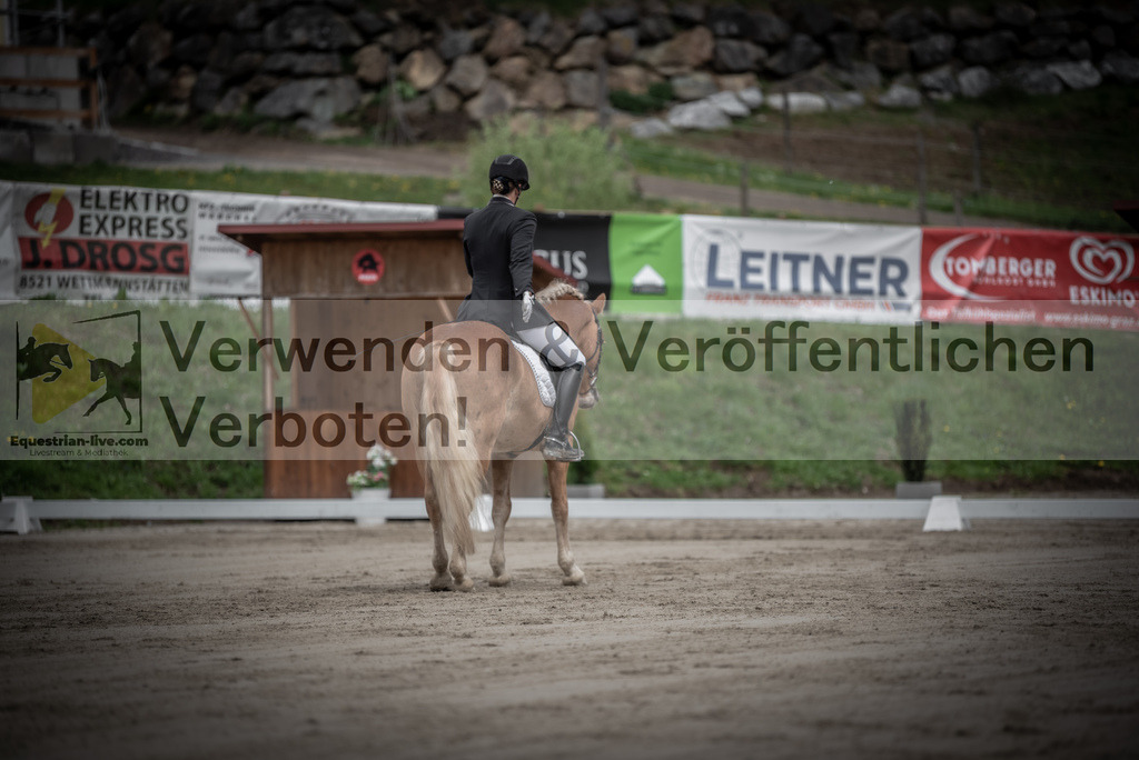 DSC_9212 | equestrian-live-com