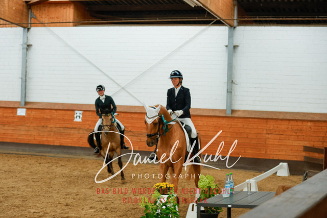 _62_6406 | Turniersportfotografie; Pferdefotografie; Dressurfotografie