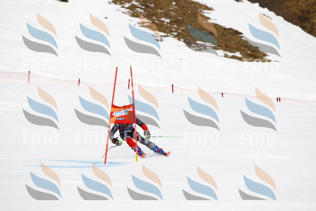 _U3G4894 | holidayphoto